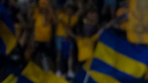 Tigres