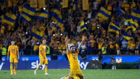 Tigres