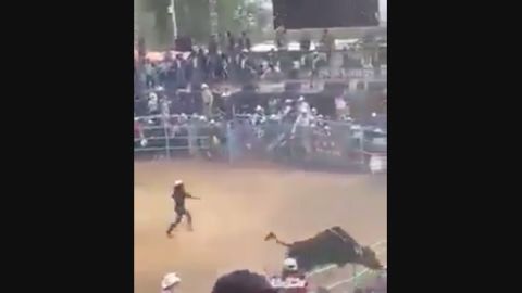 Toro salta valla en jaripeo en Michoacán, México.