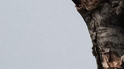 Ucrania dice que los avances rusos podrían forzar su retirada en el este del país, lo que podría cambiar el curso de la guerra