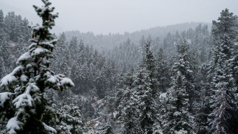 Un escalador murió y otros dos resultaron heridos en una avalancha en el Parque Nacional Rocky Mountains cuando mal clima impidió el rescate