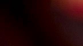 Quién fue "La Chicotita", la supuesta amante de Vicente Fernández según 'El Último Rey'