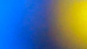 Victor Manuel Vucetich