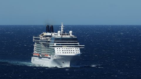 Video capturó el momento en que una mujer cayó por la borda de un crucero en Alaska