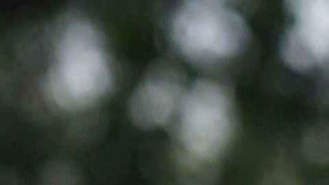 Videos muestran a padres rogándoles a los policías que detengan el tiroteo después de una hora sin ingresar a la escuela de Texas
