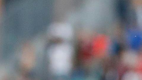 Zlatan Ibrahimovic celebra el Scudetto.