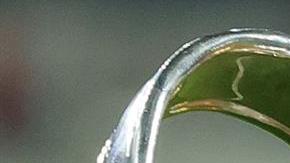 Thibaut Courtois fue el héroe del Real Madrid para ganar la Champions League 2022.