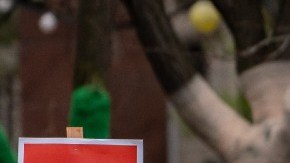 6 empresas en EE.UU. que ayudarán a sus trabajadoras si necesitan viajar a otro estado para practicarse un aborto
