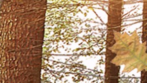 'Amor Valiente' es la nueva telenovela turca de Telemundo.