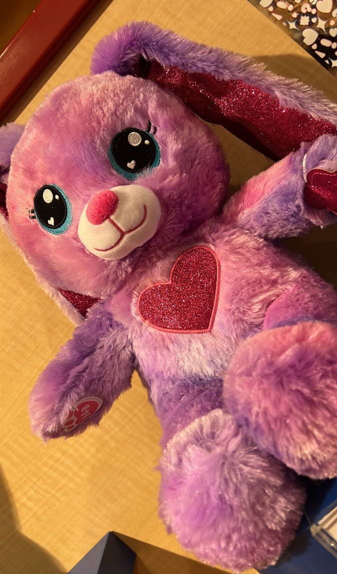 Este es el conejito que Evelyn le regaló a Alaïa
