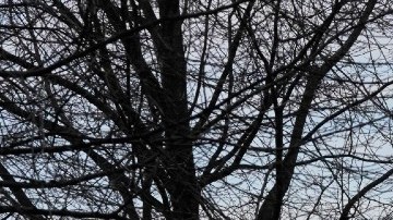 La lujosa mansión de Gianni Versace en Nueva York es puesta a la venta en $70 millones de dólares