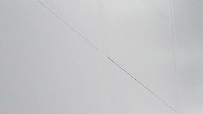 Costco Frutas y verduras