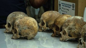 Confunden altar prehispánico con narcofosa tras descubrir 150 cráneos de individuos decapitados