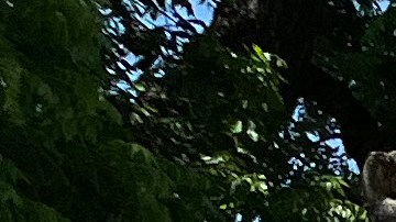 Personas visitan las cruces instaladas en memoria de las 21 víctimas asesinadas en la masacre de la escuela primaria Robb,