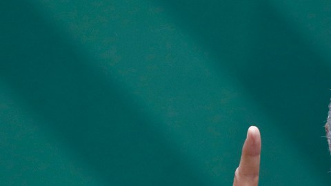 AMLO celebra decisión de EE.UU. de suavizar medidas políticas hacia Cuba