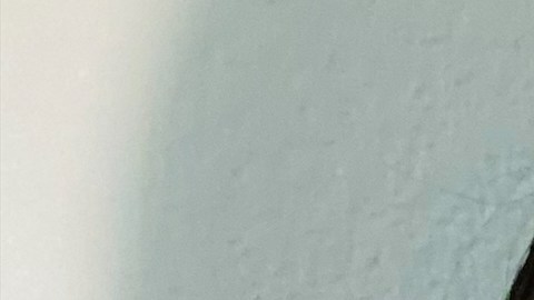 Margarita Martínez se graduará de doctora este 21 de mayo. (Suministrada)