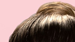 Natalia Alcocer, Potro Caballero, Brenda Zambrano y Nacho Casano son nominados en 'La Casa de los Famosos'.