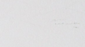 Liliana Rodríguez en desacuerdo con Alicia Machado.