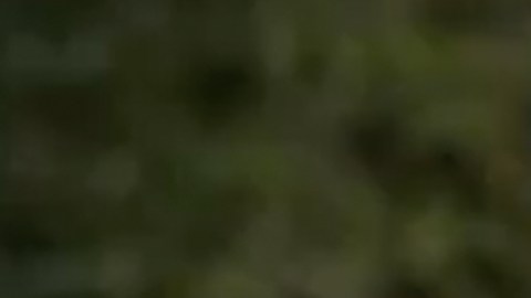 Livia Brito protagoniza 'Mujer de Nadie'.