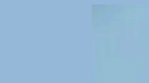 La madre ya tenía antecedentes de crueldad infantil.