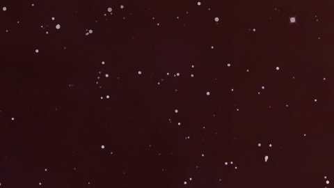 Marte es el planeta regente de Aries.