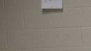 Las cubetas incautadas.