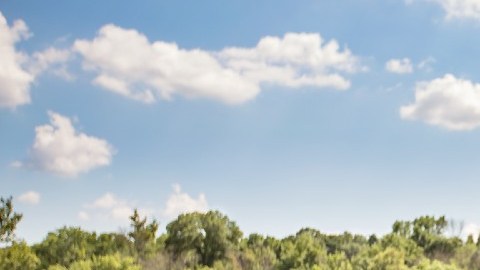 Los mejores y los peores estados en EE.UU. para el bolsillo de los millenials en 2022, según un reporte