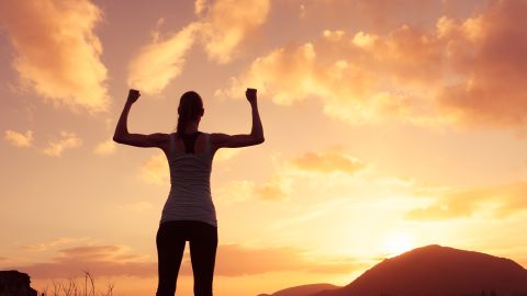 Cada signo zodiacal tiene un motivador principal.