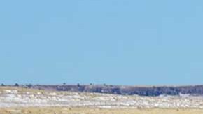 La mujer fue detenida por las autoridades y acusada de intento de homicidio.