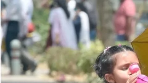 Las olas de calor impactan la vida de millones de personas.
