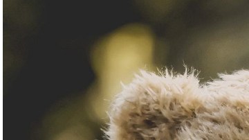 La policía advierte que no caminen sobre las autopistas porque es ilegal y peligroso.