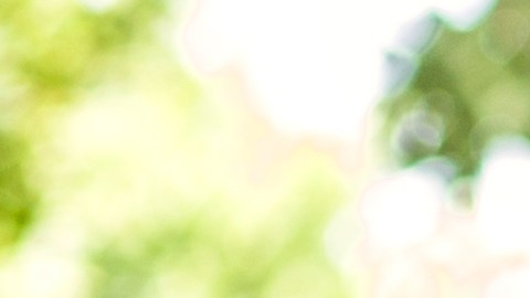 Acuario se siente atraído por signos prácticos y de espíritu libre.