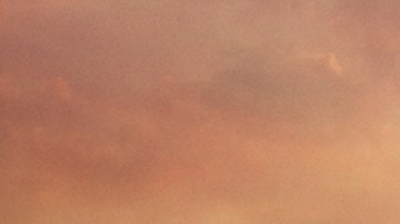 Pinocchio tendrá su estreno exclusivo en Disney+.