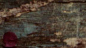 El romero y la albahaca poseen propiedades espirituales contra la mala suerte.