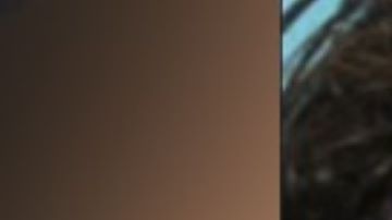 Cadáver del tirador de Uvalde fue abandonado y almacenado, fue rechazado por todas las funerarias