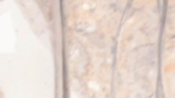 Aumentan a 26 los fallecidos por explosión en hotel Saratoga en Cuba