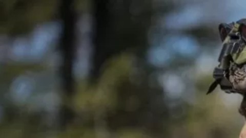 Finlandia y Suecia llevan décadas colaborando con la OTAN