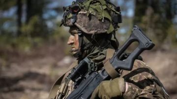 Finlandia y Suecia llevan décadas colaborando con la OTAN