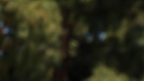 Tesla se une a Citigroup y Amazon para costear gastos de viaje de sus empleadas que buscan servicios de aborto