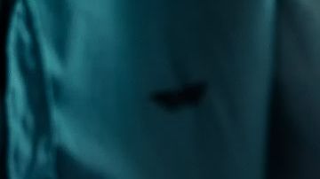 Trabajador 84 años Guinness