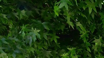 Los compradores están poniendo más del doble que hace un año para el pago inicial de una vivienda