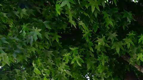 Los compradores están poniendo más del doble que hace un año para el pago inicial de una vivienda