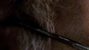 Warren Buffet Bitcoin