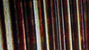 Galilea Montijo | Mezcalent.