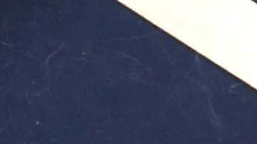 Ana Brenda | Mezcalent.