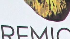 Filtran audios de Juan Vidal siendo violento con Cynthia Klitbo por su forma de dormir