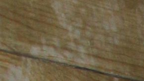 Diana Golden en la inauguración de la sección de alimentos del mar del restaurante La Jacinta.