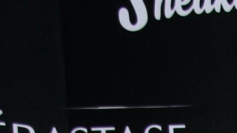 Verónica del Castillo.