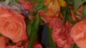 Pablo Montero | Mezcalent.