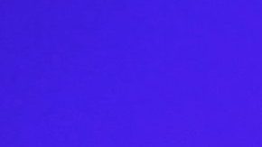 Erika Buenfil | Mezcalent.